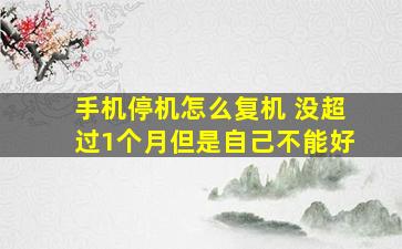 手机停机怎么复机 没超过1个月但是自己不能好